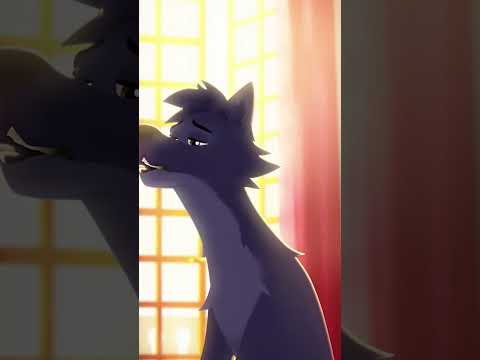 Image Youtube